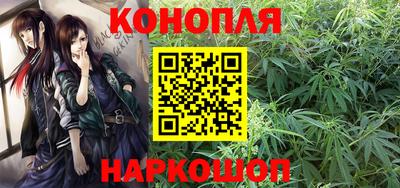 Альфа ПВП Бийск