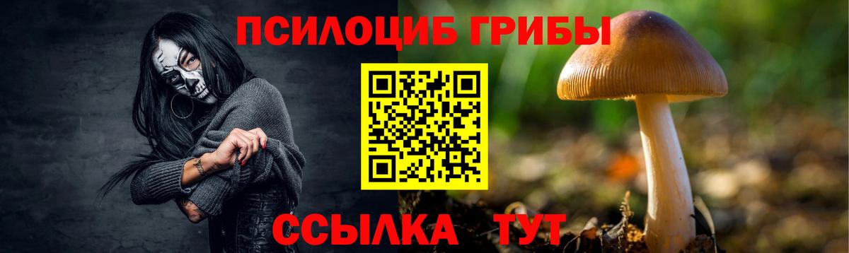 Псилоцибиновые грибы Magic Shrooms  Вход с VPN  Канаш 